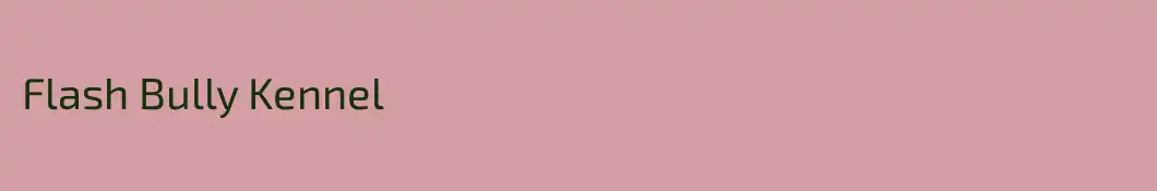Flash Bully Kennel